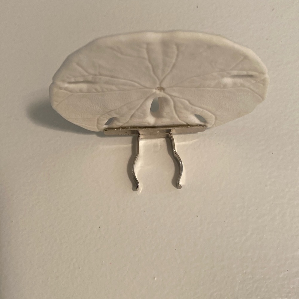 Sand Dollar auto on night light - Picture 6 of 8